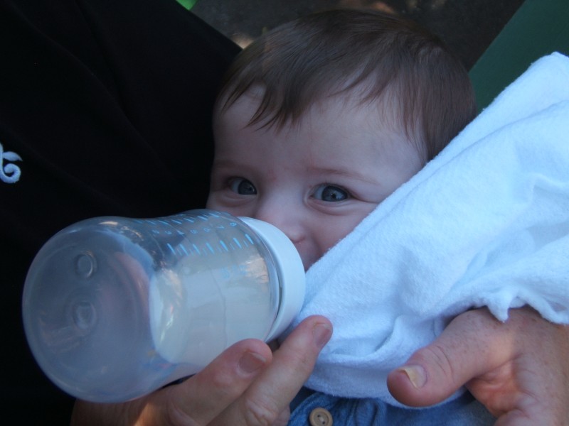 Palo Alto-Gal 6.2005 669.jpg